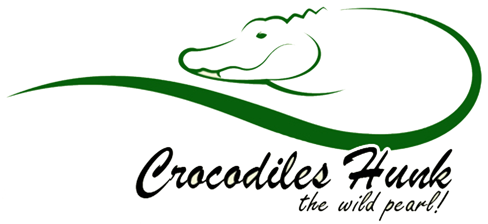 Dandeli crocodile hunk